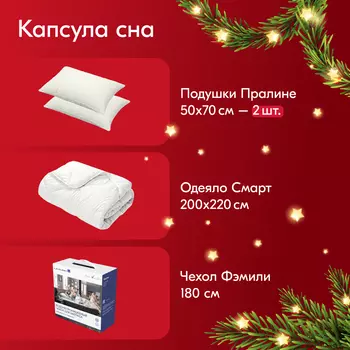 Капсула сна: одеяло Смарт 200x220 + подушки Пралине 50x70 + чехол Фэмили 180x200