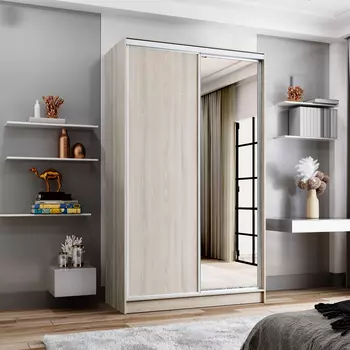 Шкаф-купе 2-дверный Даллас