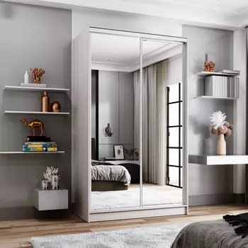 Шкаф-купе 2-дверный Даллас