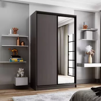 Шкаф-купе 2-дверный Даллас