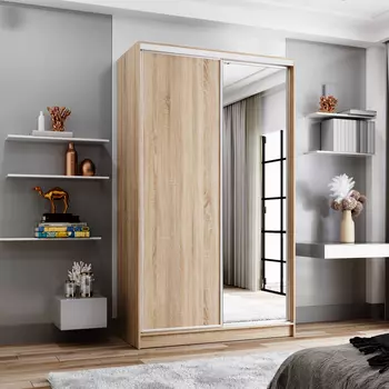 Шкаф-купе 2-дверный Даллас