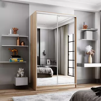 Шкаф-купе 2-дверный Даллас