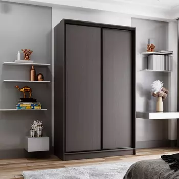 Шкаф-купе 2-дверный Даллас