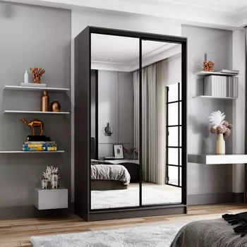 Шкаф-купе 2-дверный Даллас