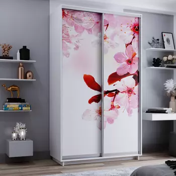 Шкаф-купе 2-дверный Фреско