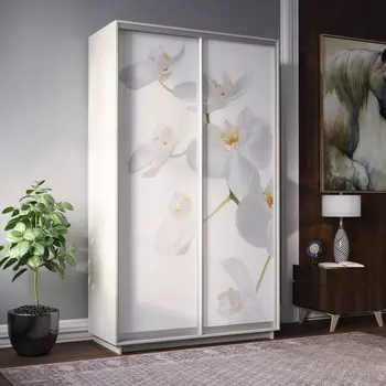 Шкаф-купе 2-дверный Фреско