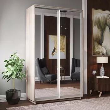 Шкаф-купе 2-дверный Фреско