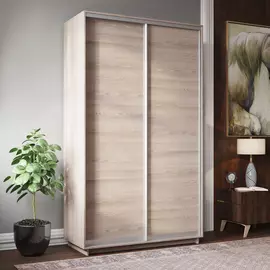 Шкаф-купе 2-дверный Фреско