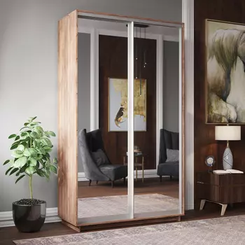 Шкаф-купе 2-дверный Фреско