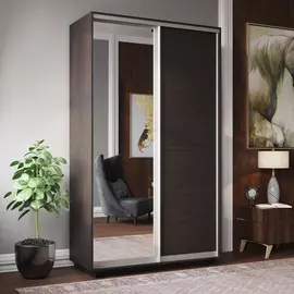 Шкаф-купе 2-дверный Фреско