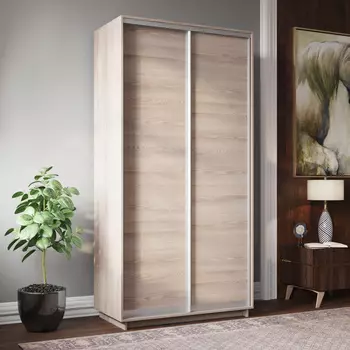 Шкаф-купе 2-дверный Фреско 120/45