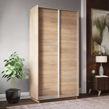 Шкаф-купе 2-дверный Фреско 120/45