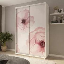 Шкаф-купе 2-дверный Фреско 160/60