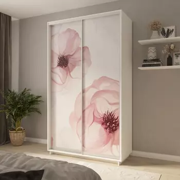 Шкаф-купе 2-дверный Фреско