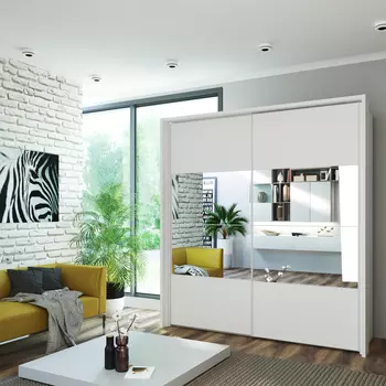 Шкаф-купе 2-дверный Леонардо 220/50