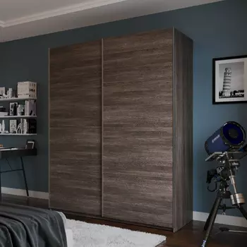 Шкаф-купе 2-дверный Модерно