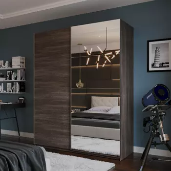 Шкаф-купе 2-дверный Модерно