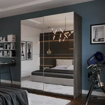 Шкаф-купе 2-дверный Модерно