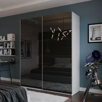 Шкаф-купе 2-дверный Модерно