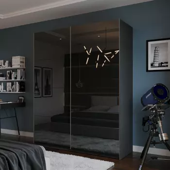 Шкаф-купе 2-дверный Модерно