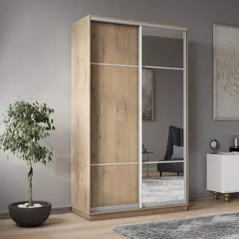 Шкаф-купе 2-дверный Рио Верде