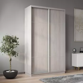 Шкаф-купе 2-дверный Рио Верде