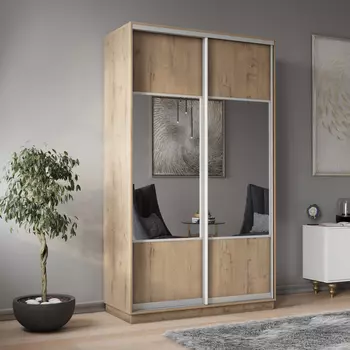 Шкаф-купе 2-дверный Рио Верде