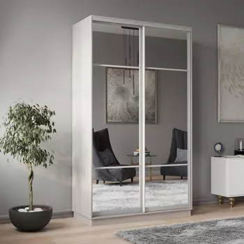 Шкаф-купе 2-дверный Рио Верде