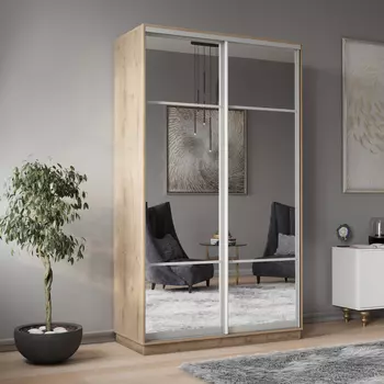 Шкаф-купе 2-дверный Рио Верде