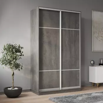 Шкаф-купе 2-дверный Рио Верде