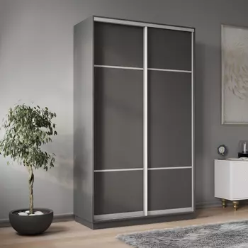 Шкаф-купе 2-дверный Рио Верде