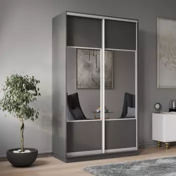 Шкаф-купе 2-дверный Рио Верде