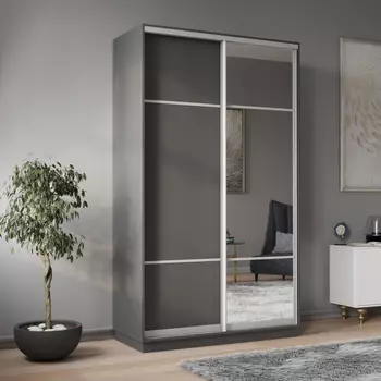 Шкаф-купе 2-дверный Рио Верде