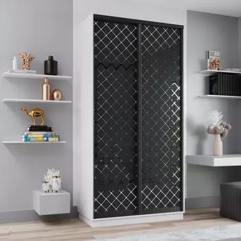 Шкаф-купе 2-дверный Рио Верде