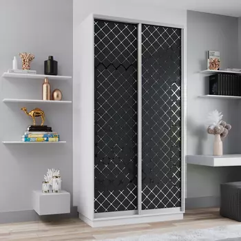 Шкаф-купе 2-дверный Рио Верде