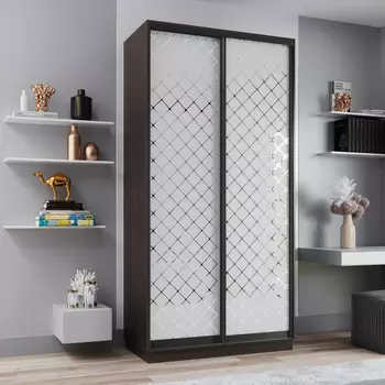 Шкаф-купе 2-дверный Рио Верде