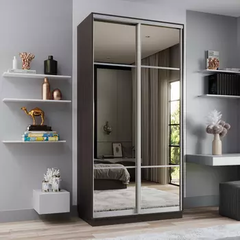 Шкаф-купе 2-дверный Рио Верде