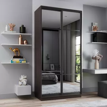 Шкаф-купе 2-дверный Рио Верде