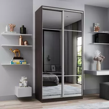 Шкаф-купе 2-дверный Рио Верде