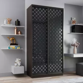 Шкаф-купе 2-дверный Рио Верде