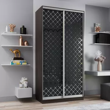 Шкаф-купе 2-дверный Рио Верде