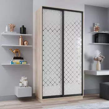 Шкаф-купе 2-дверный Рио Верде