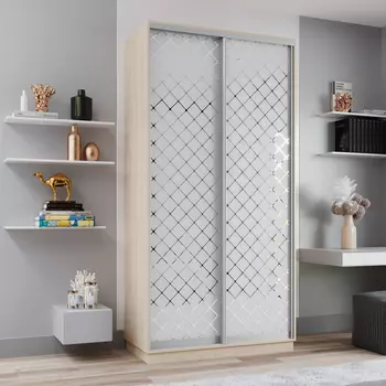 Шкаф-купе 2-дверный Рио Верде