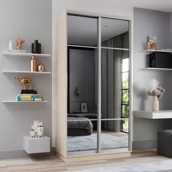 Шкаф-купе 2-дверный Рио Верде