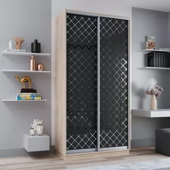 Шкаф-купе 2-дверный Рио Верде