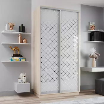 Шкаф-купе 2-дверный Рио Верде