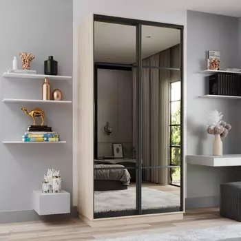 Шкаф-купе 2-дверный Рио Верде