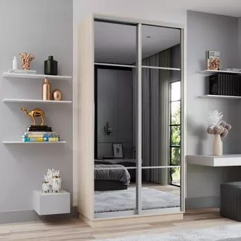 Шкаф-купе 2-дверный Рио Верде