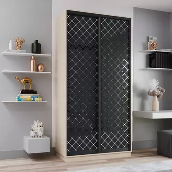 Шкаф-купе 2-дверный Рио Верде