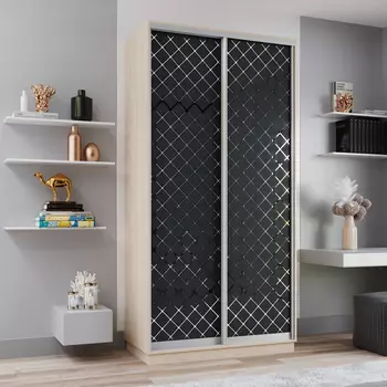 Шкаф-купе 2-дверный Рио Верде